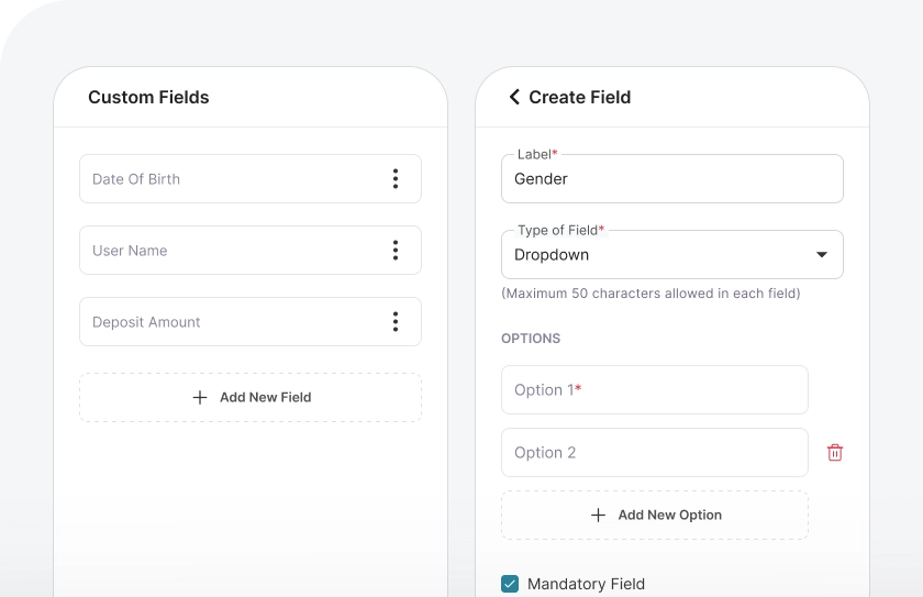 01 Custom Fields.webp